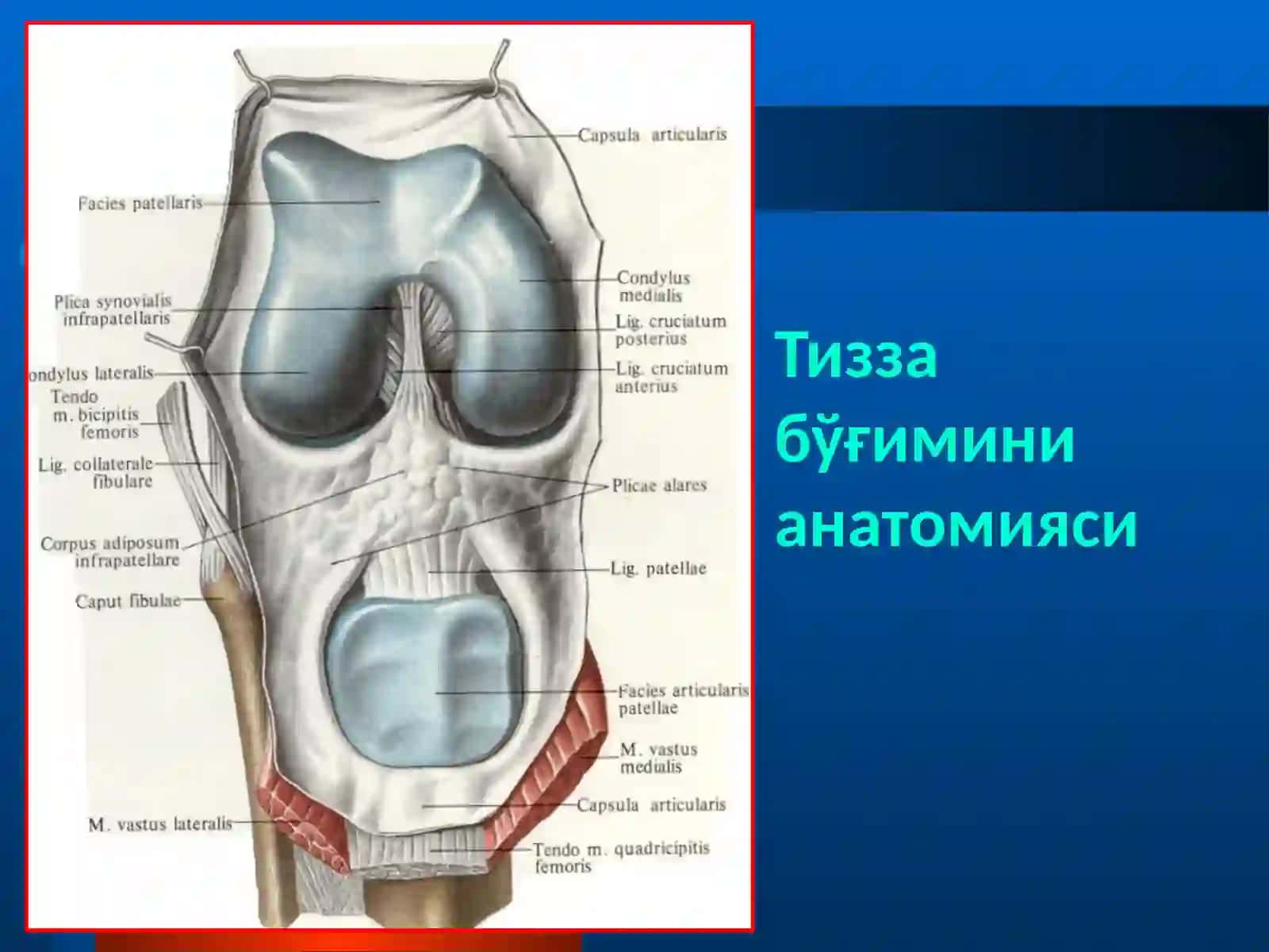 ТРАВМАТИК ЧИҚИШЛАР 4