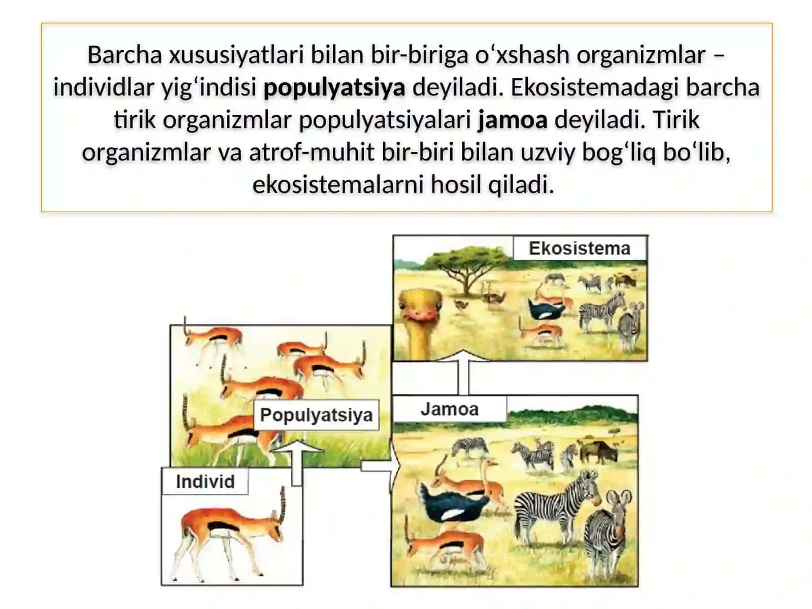 EKOSISTEMALARDAGIO'ZAROMUNOSABATLAR 4