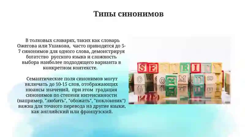Лексическое богатство русского языка (синонимы, антонымы, омонимы) 4