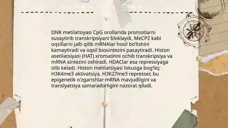 Oqsil biosintezini boshqarilishi 4