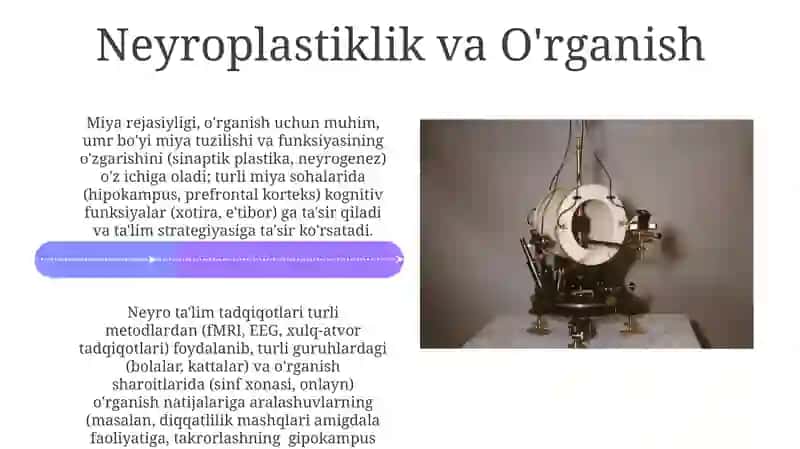 Neyron Tarmoqlari va Kognitiv Jarayonlar 4