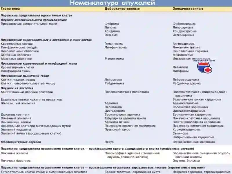 Усма патологияси 4