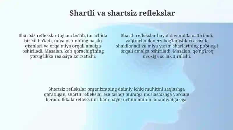 Oliy nerv faoliyatining asosiy qonuniyatlari 4