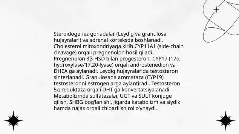 Jinsiy gormonlar fiziologiyasi 4
