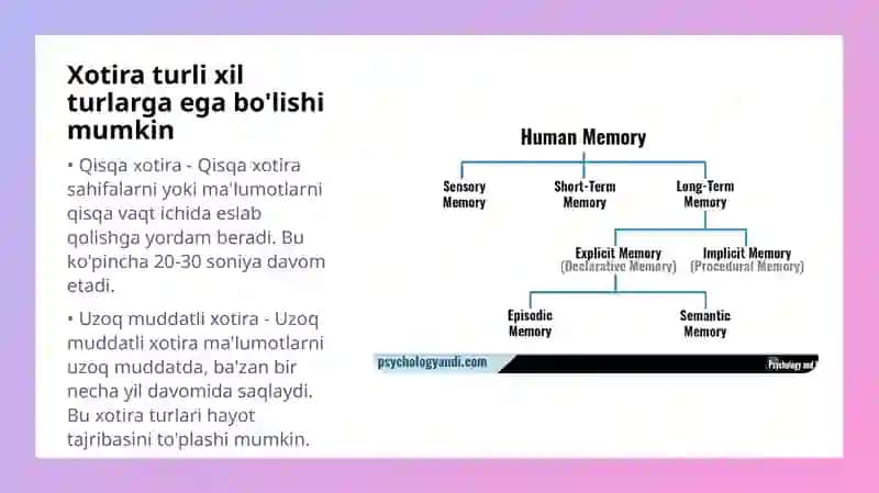 Xotiraning fiziologik asoslari 4