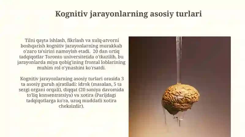 Bilish psixik jarayonlari va idrok haqida umumiy tasavvurlar 4