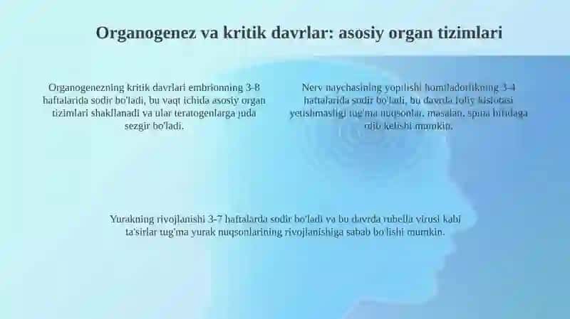 Odamembriologiyasiqaltisdavrlari 4