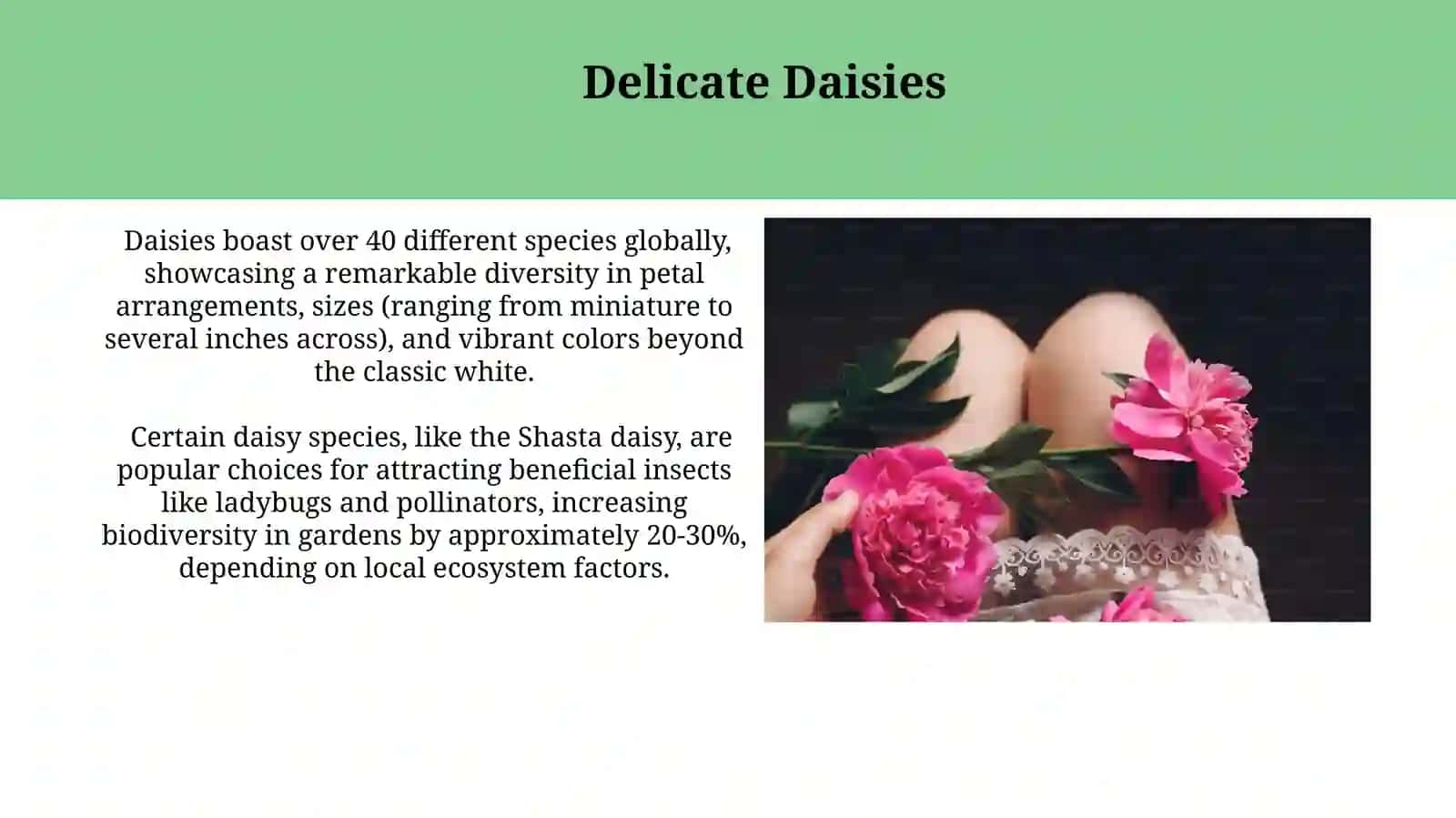 Allure of Roses 4