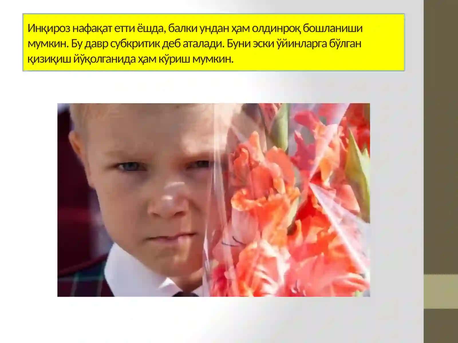 МУСТАҚИЛ ИШМАВЗУ:7 ЁШ ИНҚИРОЗИ, УНИНГ САБАБЛАРИ ВА АЛОМАТЛАРИ 4