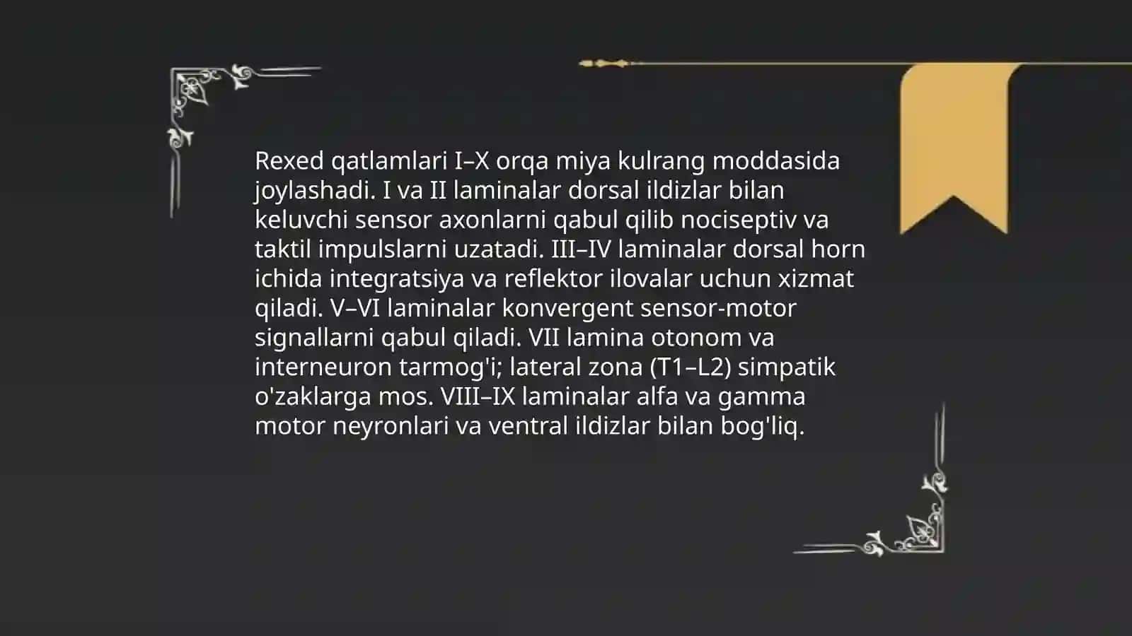 Orqa miya kulrang moddasining umumiy anatomiyasi va o'zaklar tuzilishi 4