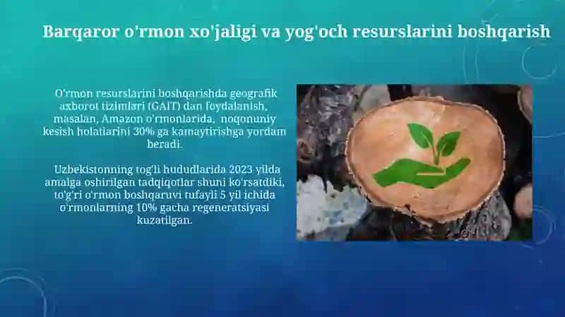Yashil iqtisodiyotga asoslangan yog'och materiallar va buyumlar 4