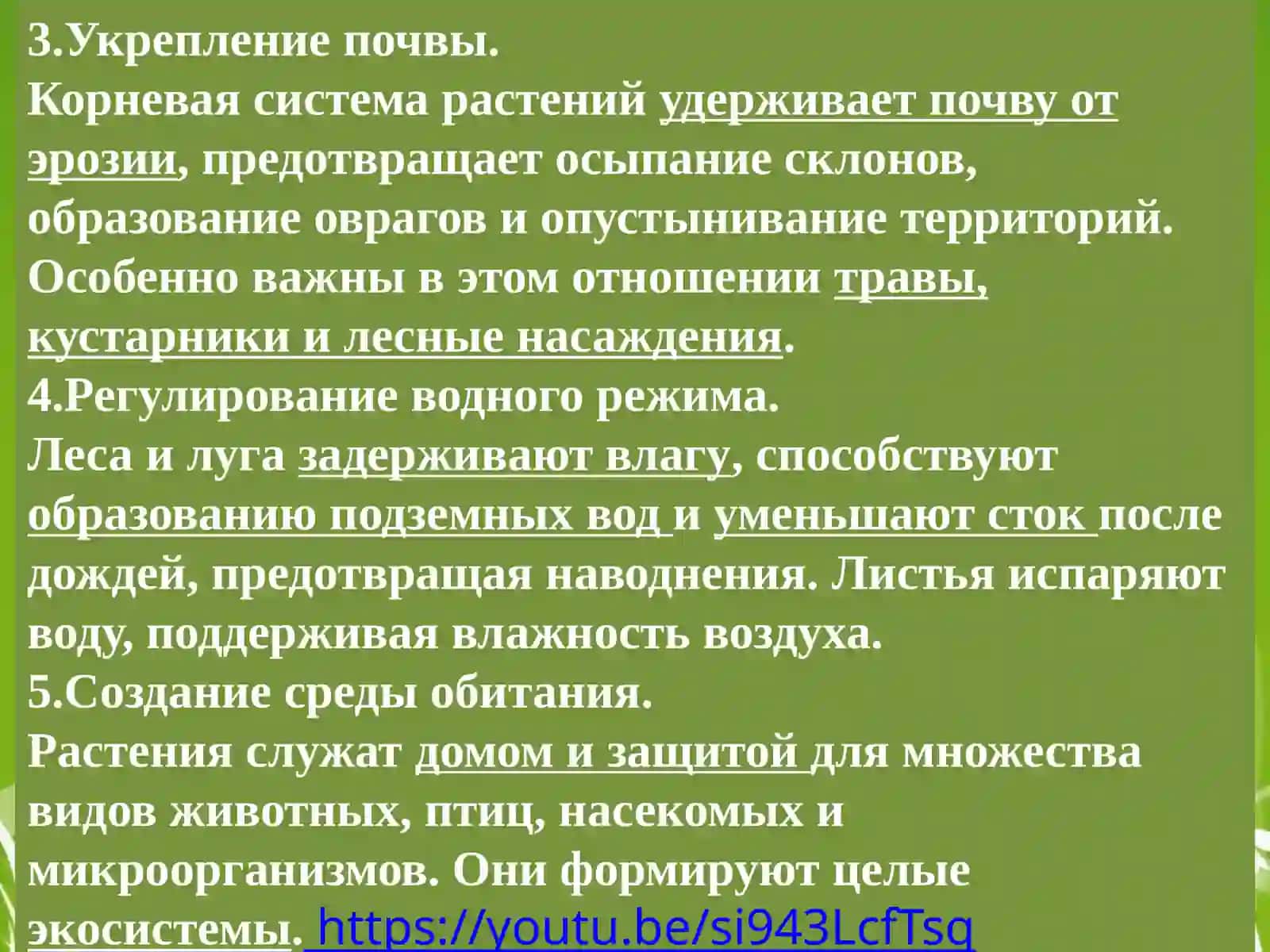 Растительный мир и его систематика 4