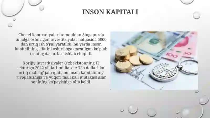 Iqtisodiyotni rivojlantirishda xorijiy investitsiyalarning roli 4