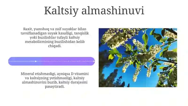 Mineral distrofiyalar kaltsi almashinuvining buzilishi rahit 4