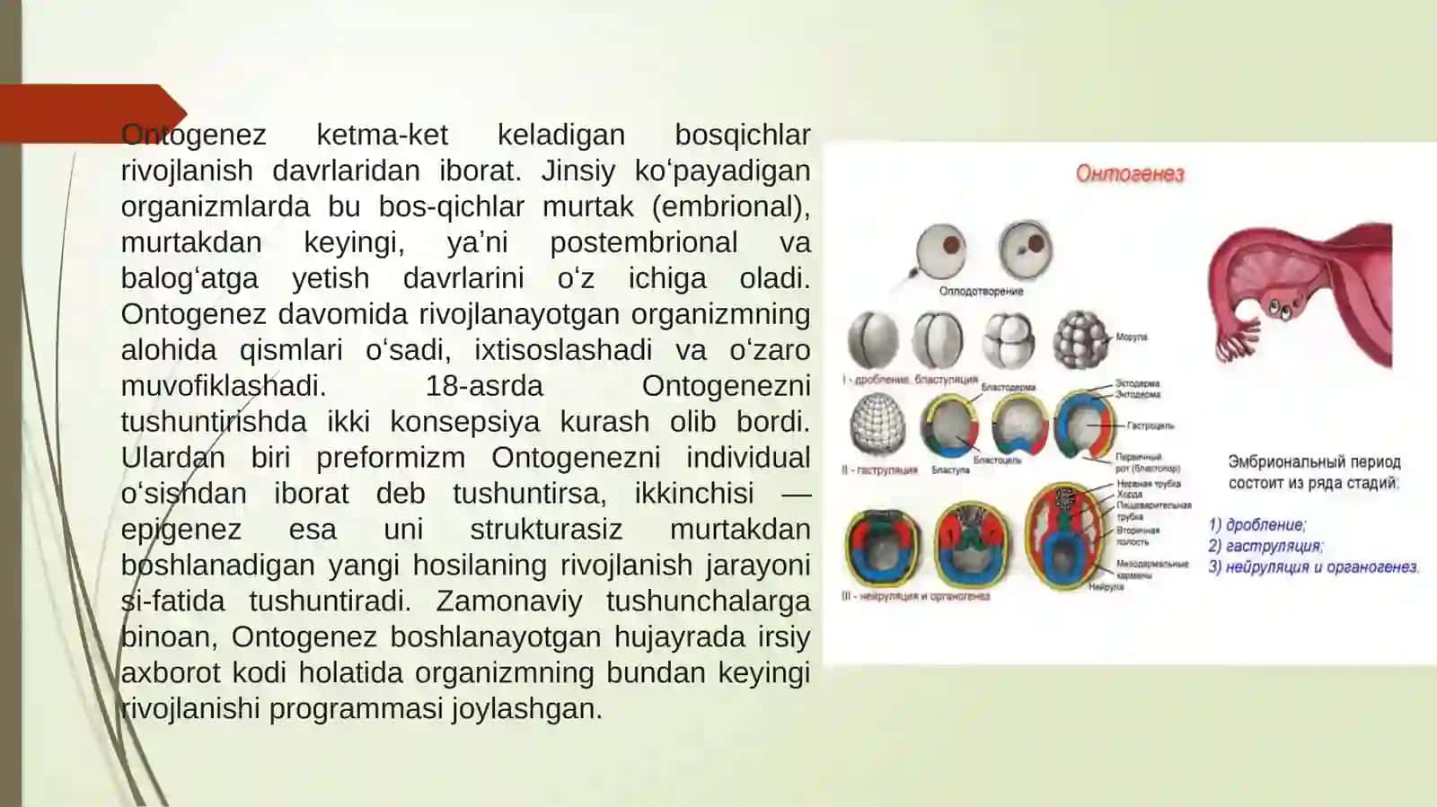 Hayvonlarning psixik faoliyatining ontogenezida rivojlanishi 4
