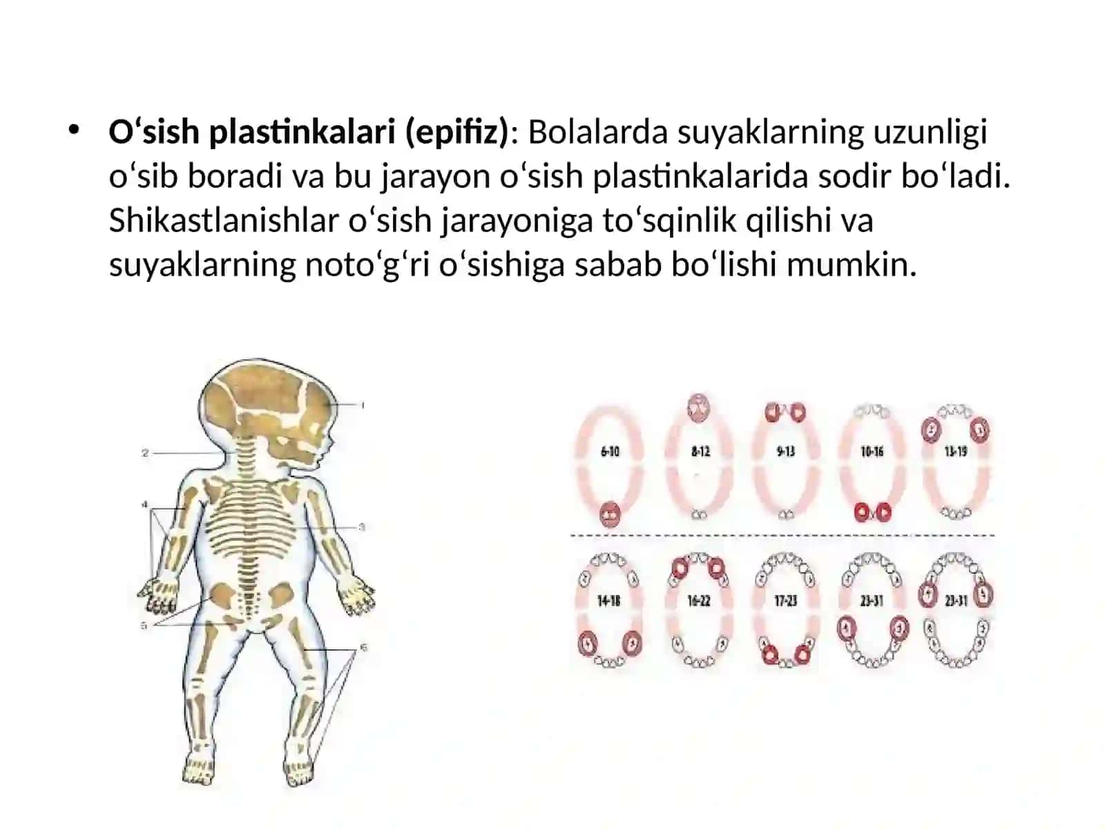 Bolalarda suyak shikastlanishlarining o‘ziga xosligi 4