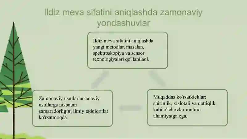 Ildiz mevaning sifat ko'rsatkichlarini aniqlashning istiqbolli  usullari 4