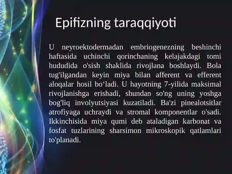 Epifizning ultrastruktura viy tashkili shivafunksiyalari 4