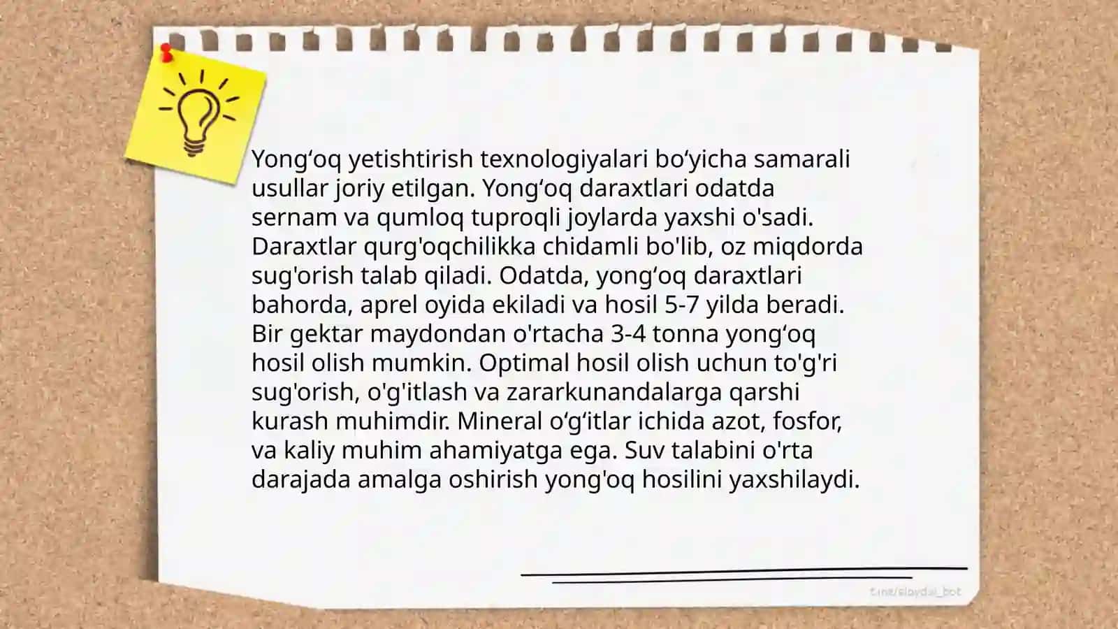 Yongʻoq marfalogiyasi rivojlanishi 4