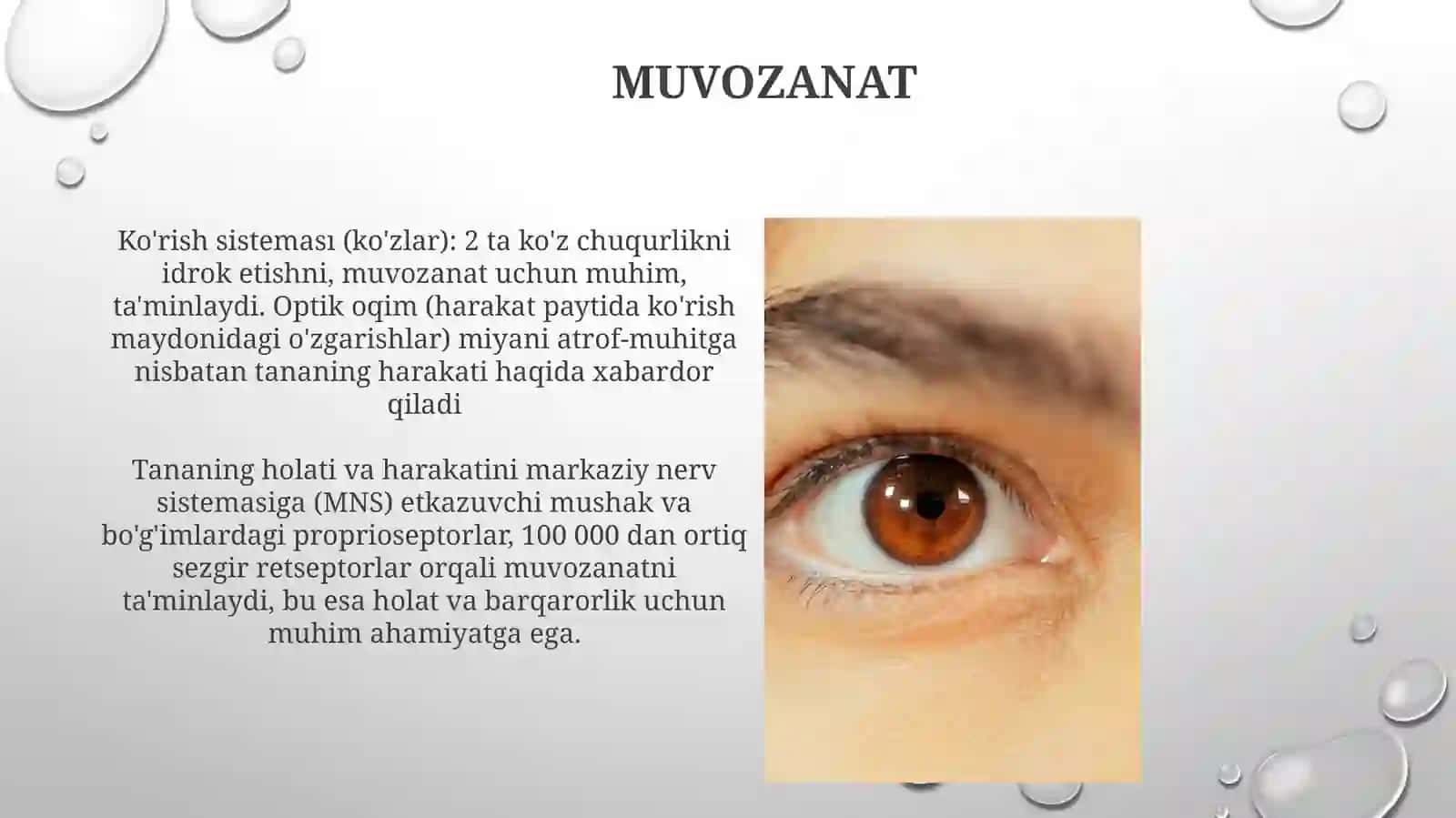 Insonsezgiorganlari 4
