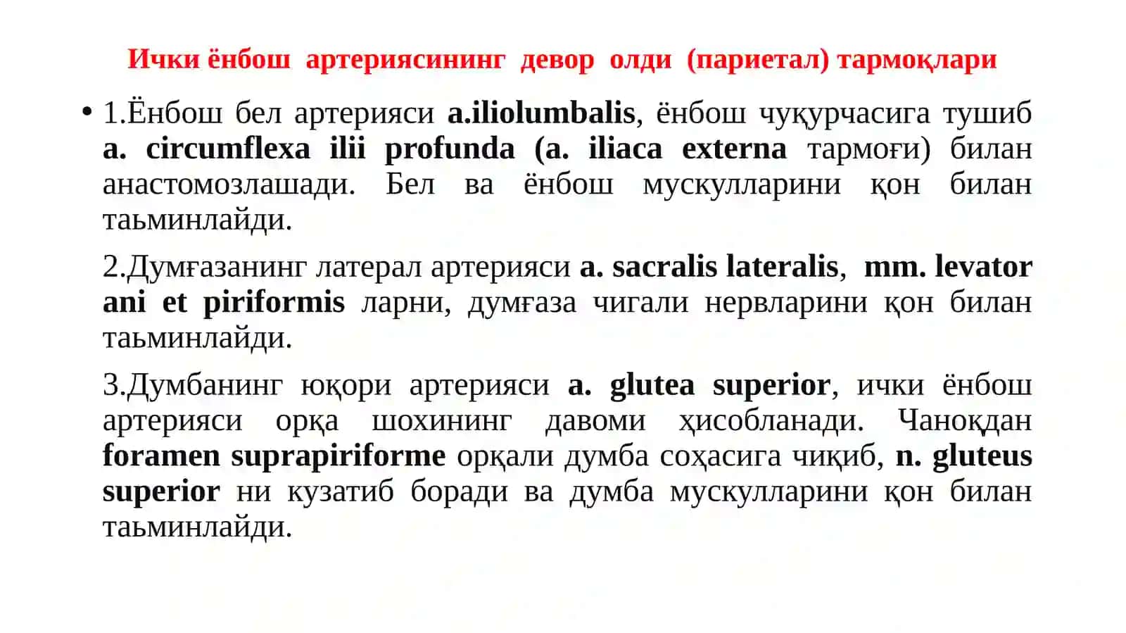 Ички ва ташқи ёнбош артериялари. Сон артерияси. Болдир артериялари. Оёқ панжа артериялари 4