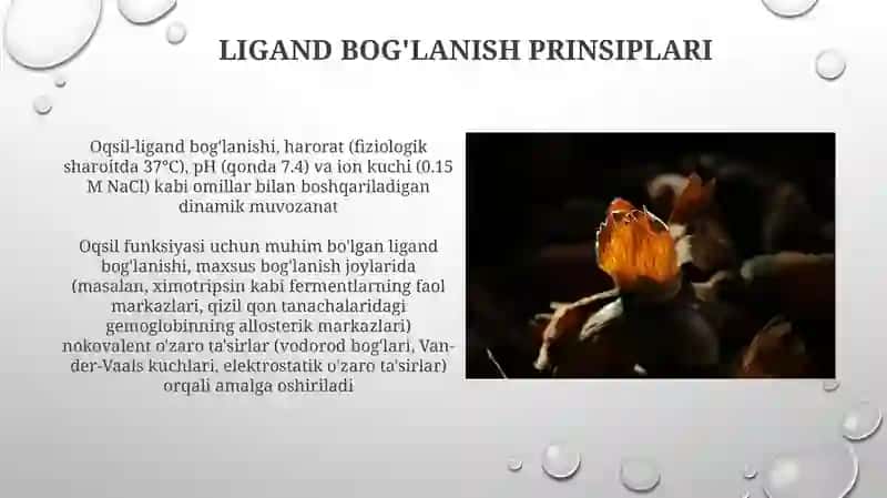 Izofunktsional oqsil oilalari 4