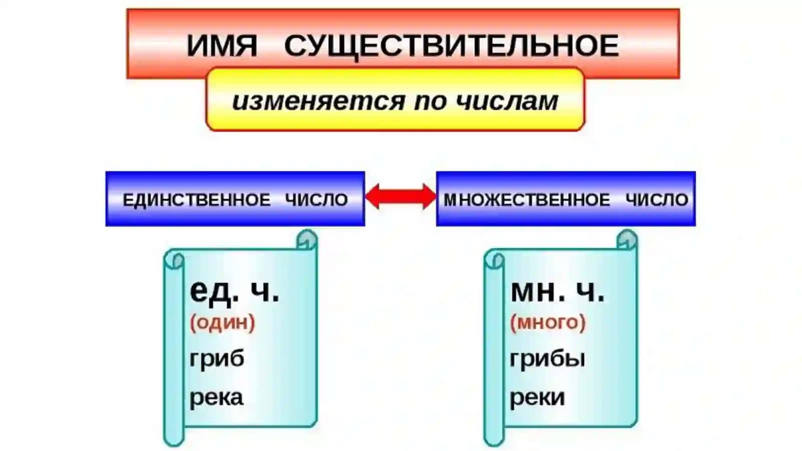Число имен существительных 4