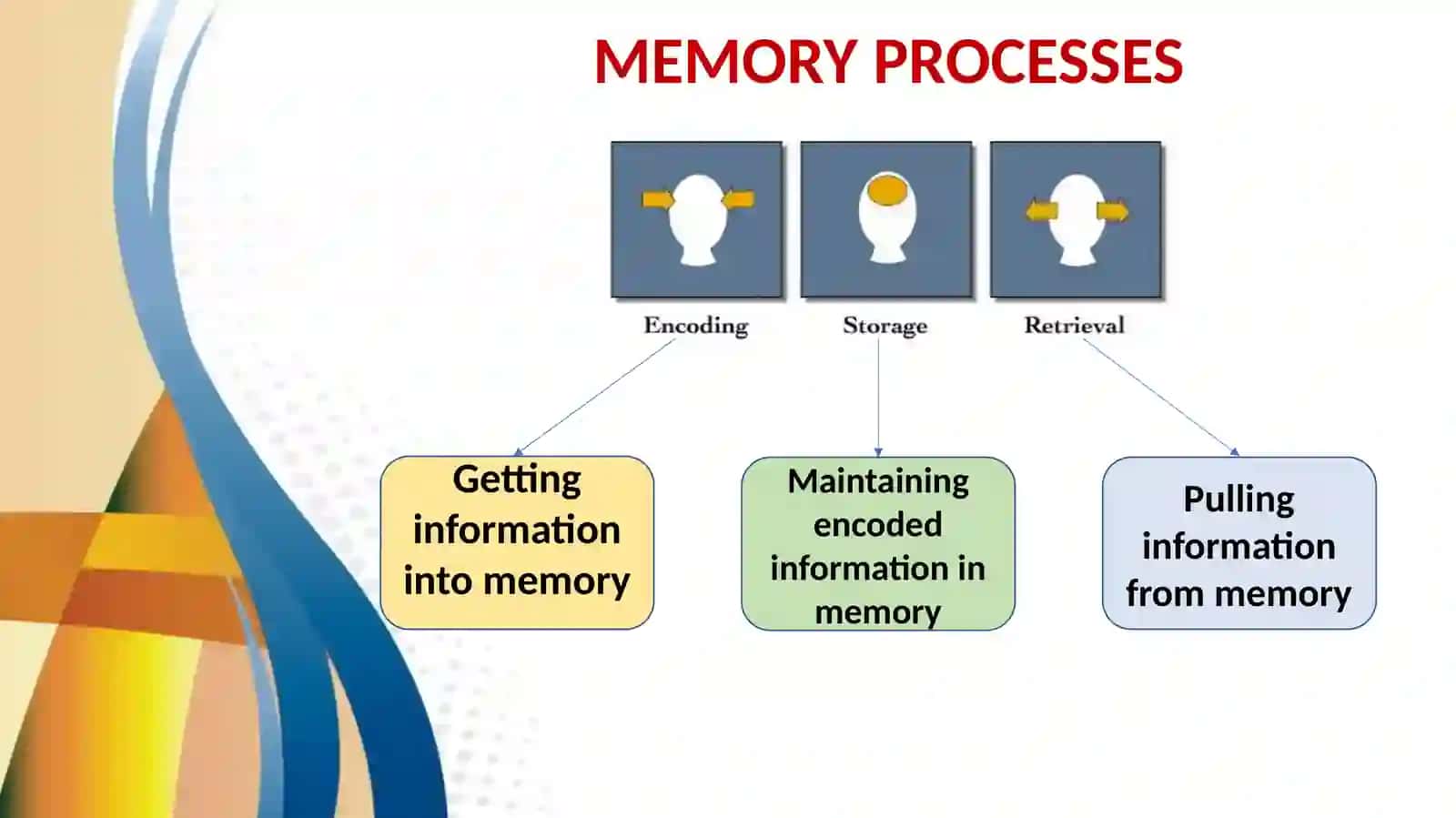WHAT IS MEMORY? 4