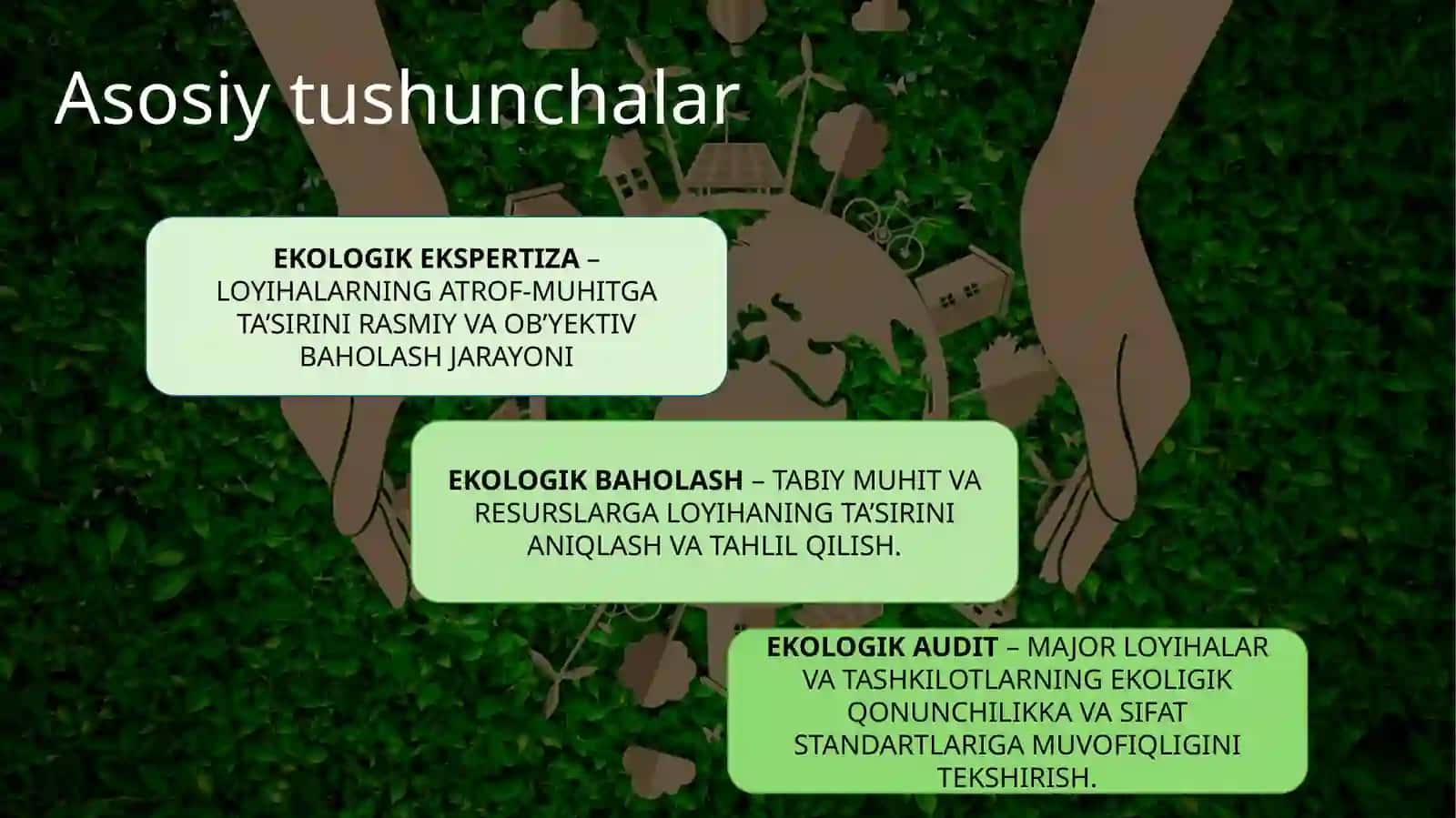 Ekologik ekspertiza, ekologik baholash va ekologik audit 4