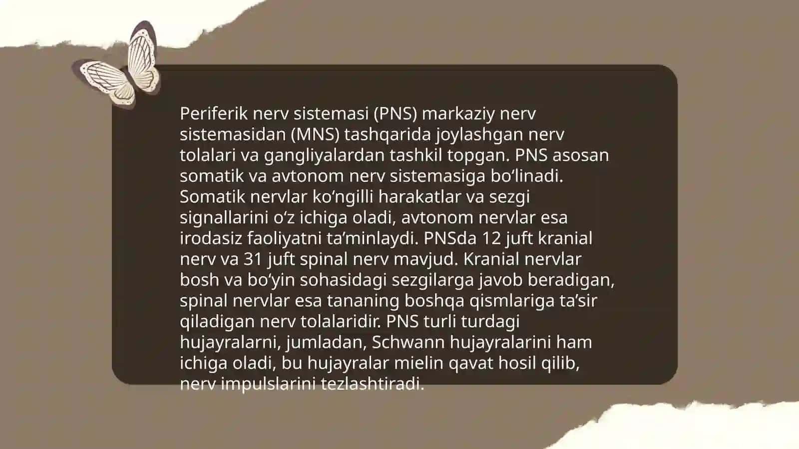Nerv sistemasining tuzilishi 4