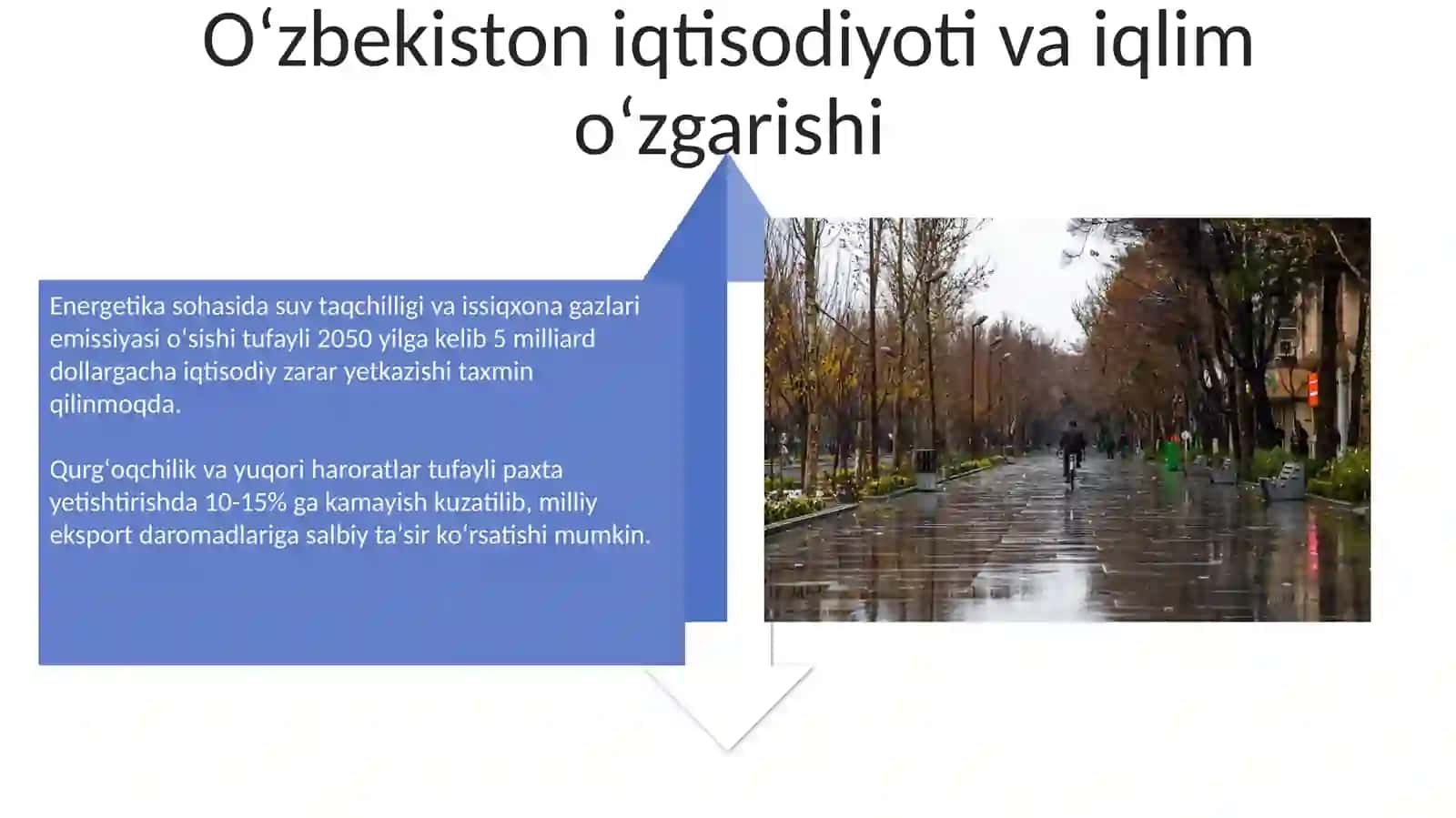 Iqlim o'zgarishi va uning O‘zbekiston iqtisodiyotiga ta'siri 4