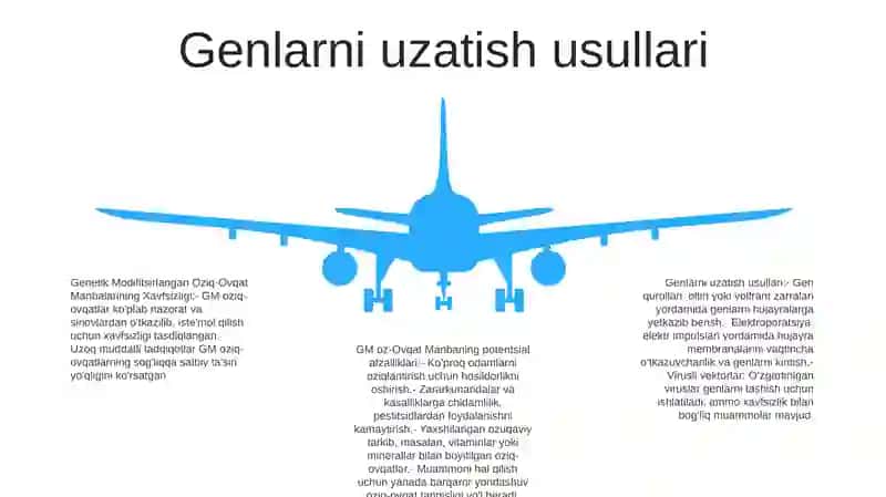 Genetik Modifitsirlangan Oziq-Ovqat Manbalarining Xavfsizligi 4