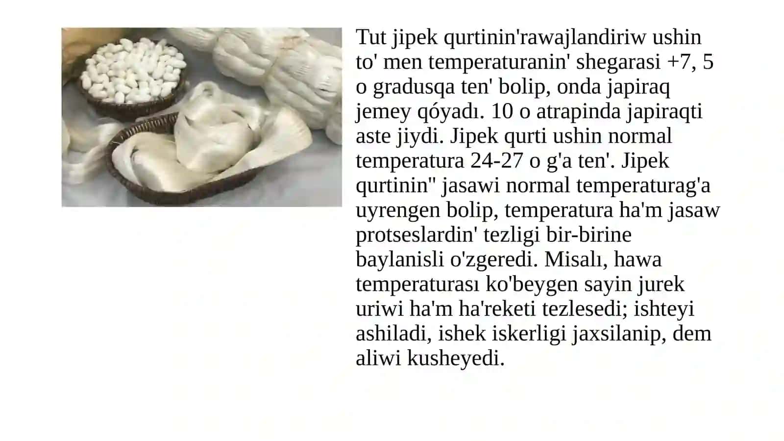 Hawa ızǵarlıǵınıń jipak qurtın rawajlanıwına tásiri 4