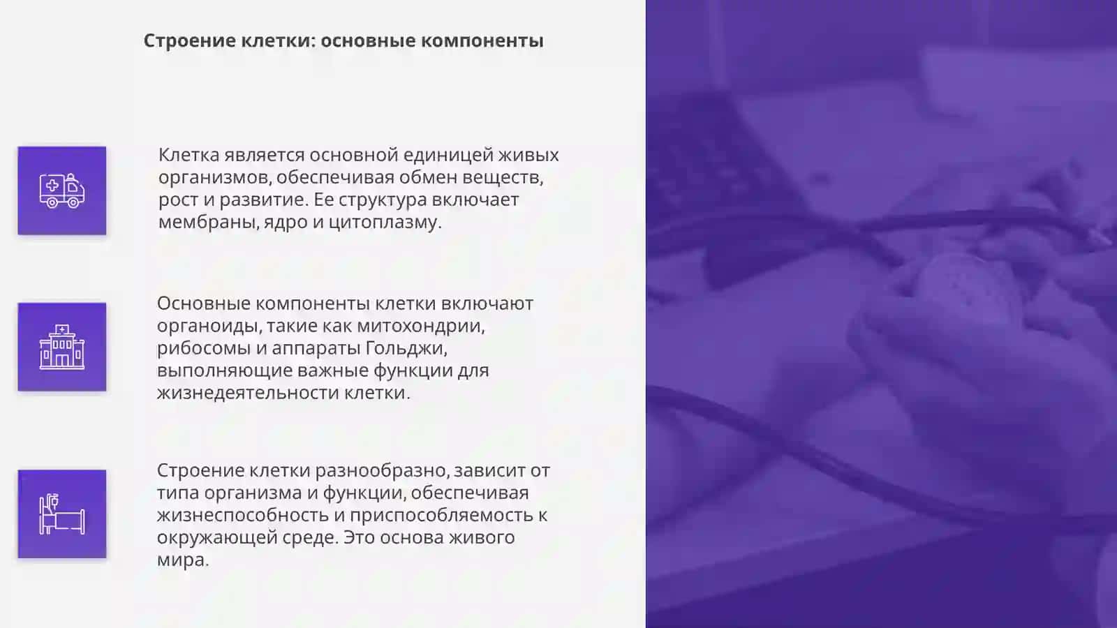 Клеточная основа жизни: фундаминт живого мира 4