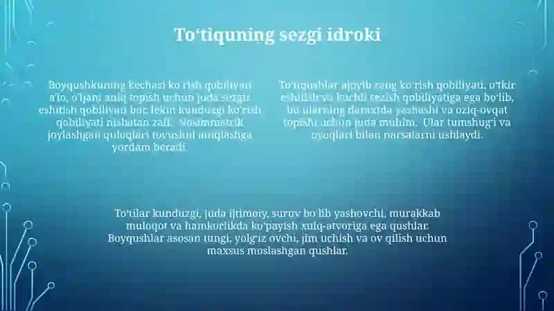 To'tiqushlar va yapaloqqushlarning tuzilishi va hayot tarzi 4