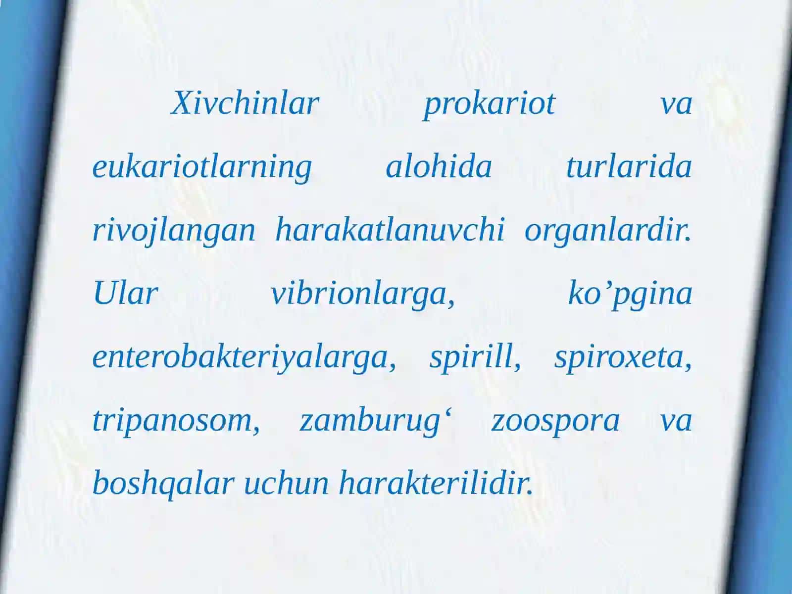 Prokariot va eukariotlar bakteriyalarning struktura tuzilishi 4