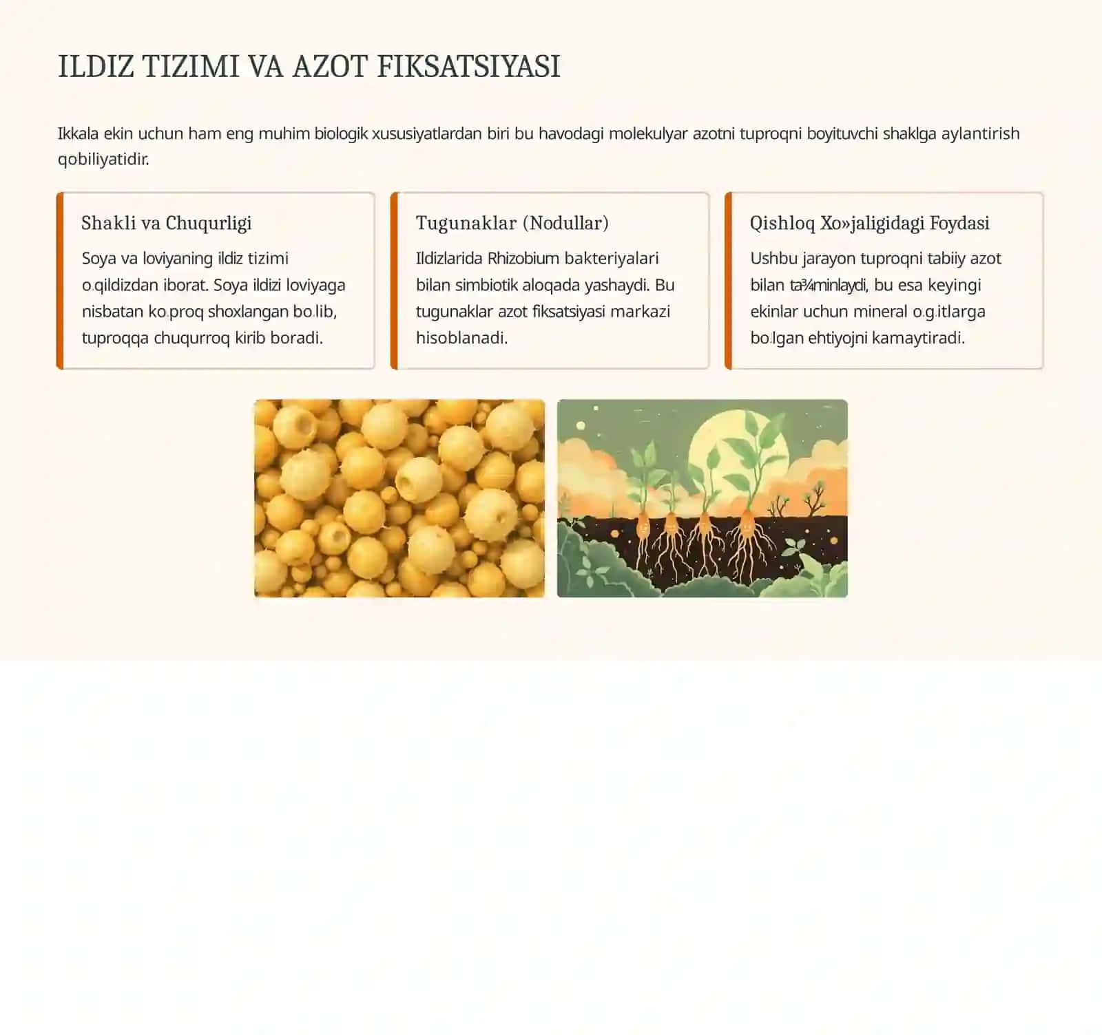 Soya va loviya morfologiyasi va biologiyasi PPT – Biologiya, Agronomiya va Dehqonchilik fanidan taqdimot 4