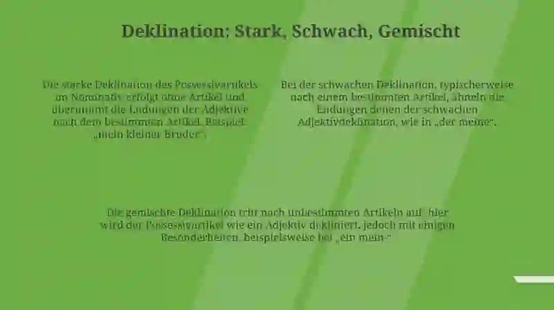 Possessive artikel im nominative 4