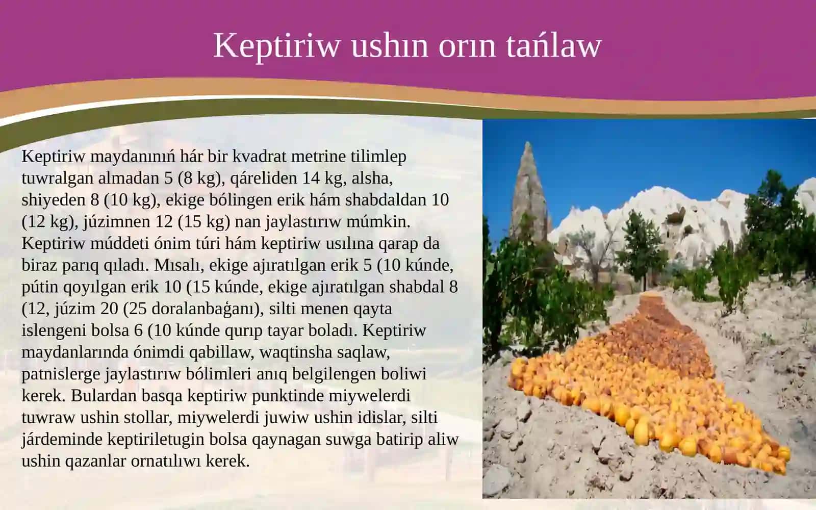 Miyweler hám juzimlerdiń keptiriw uskeneleri dúzilisi, is organları 4