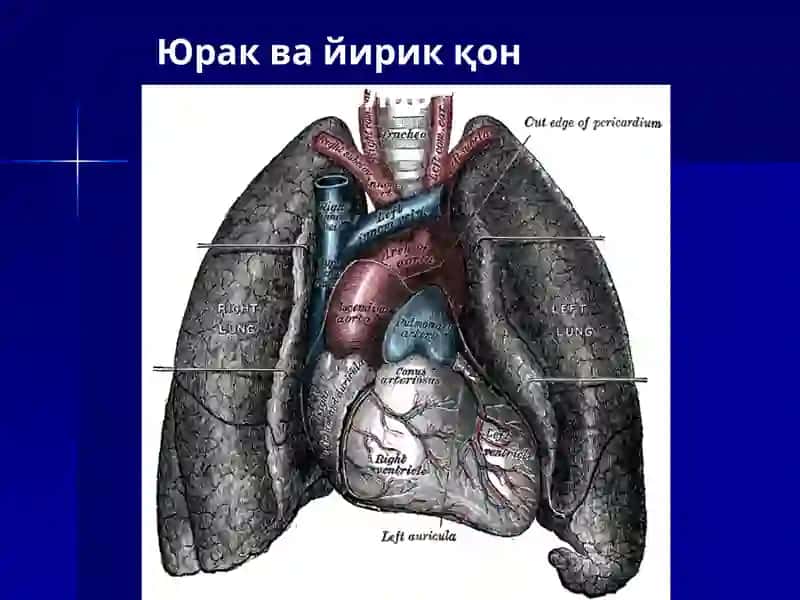 Юрак 4