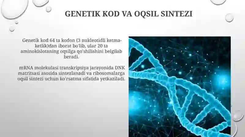 Molekulyar genetika asoslari va irsiy kasaliklar 4