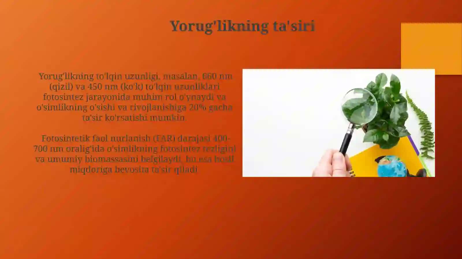 O'simliklarning O'sishi va Rivojlanishi 4
