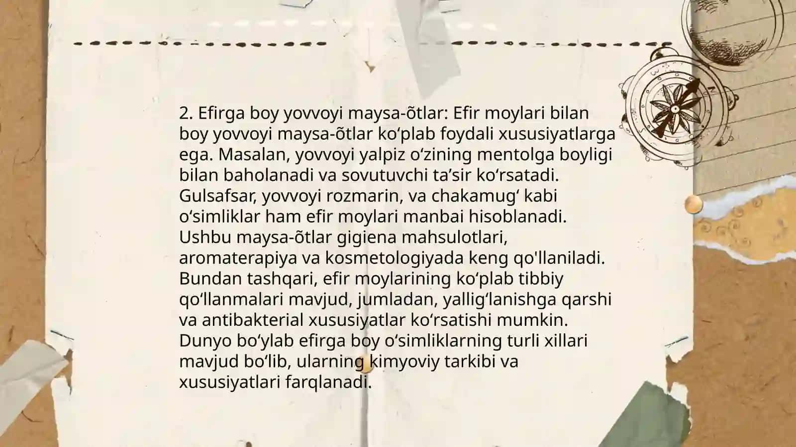 Sho'raklar (Haloxylon) 4
