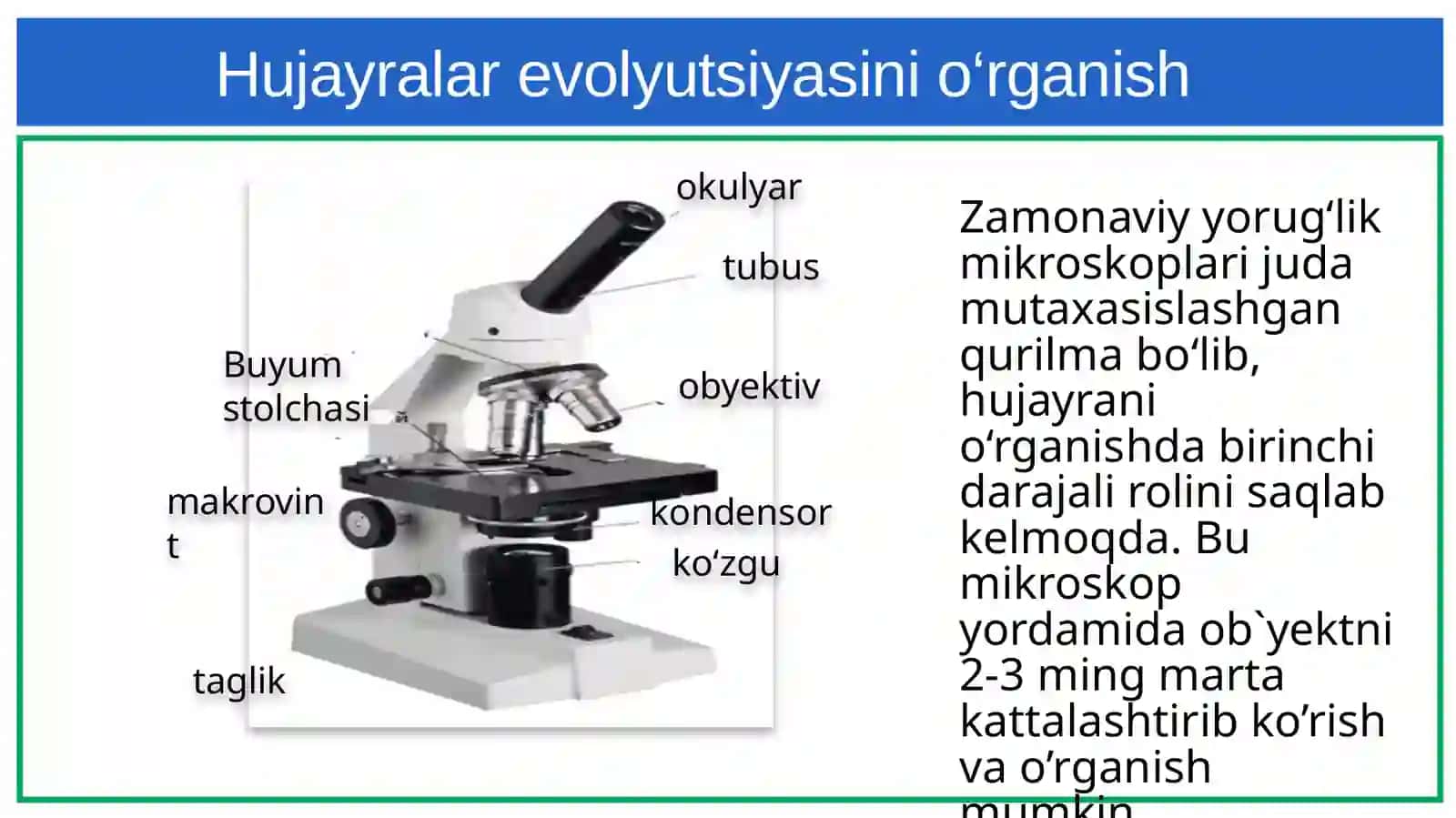 Hujayranio‘rganishusullari 4