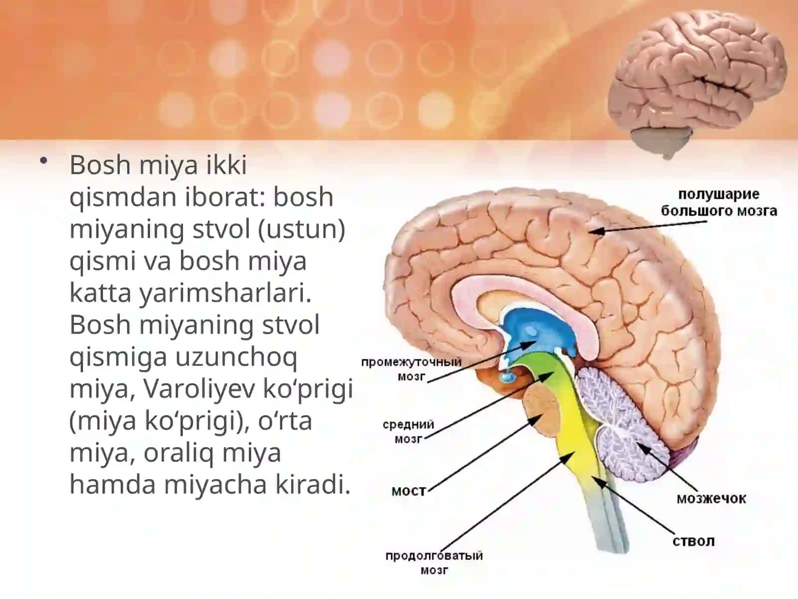 Miyava uning modulyatsiya tizimi 4