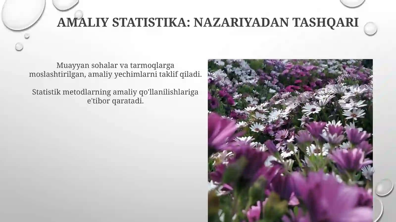 Amaliy statistika 4