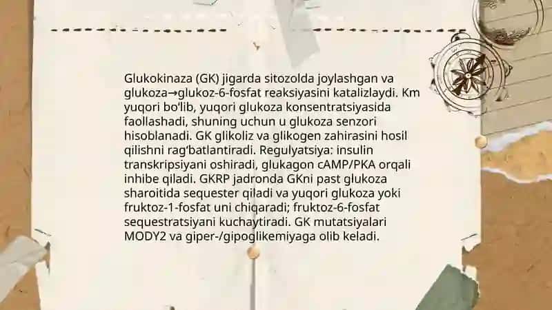 Jigarda glikoliz va glikonegenezni boshqarilishi 4