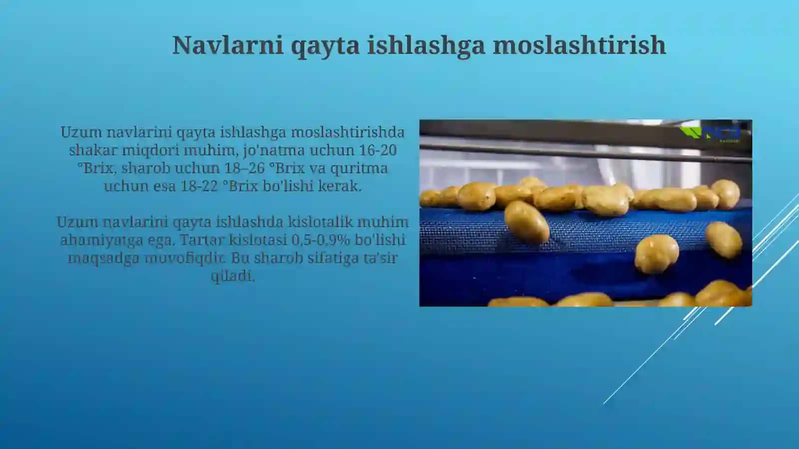 Uzumni qayta ishlash korxonalari va usullari 4
