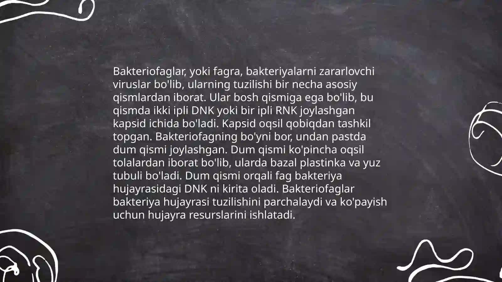 Bakteriofaglar 4
