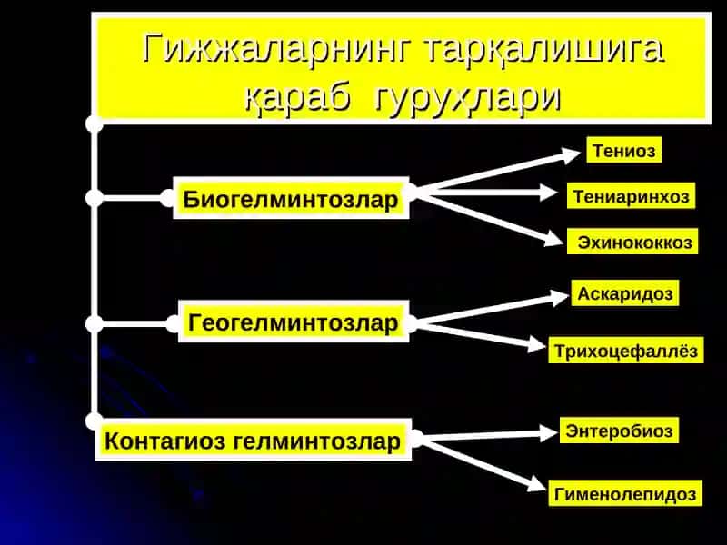 ГИЖЖА ЭНВАЗИЯСИ 4